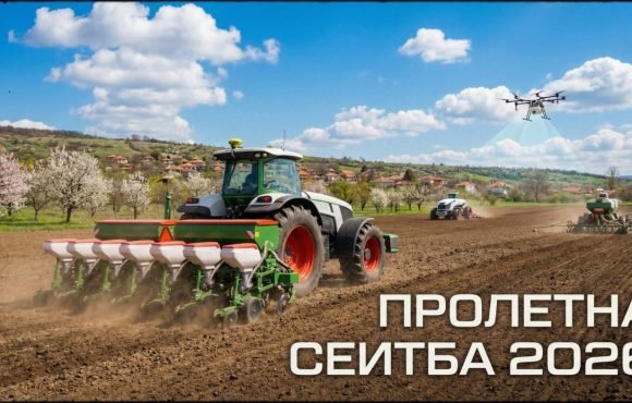 proletna seitba